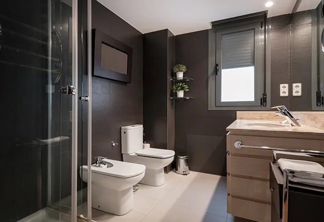Toilet Bathroom